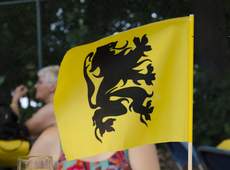 vlag